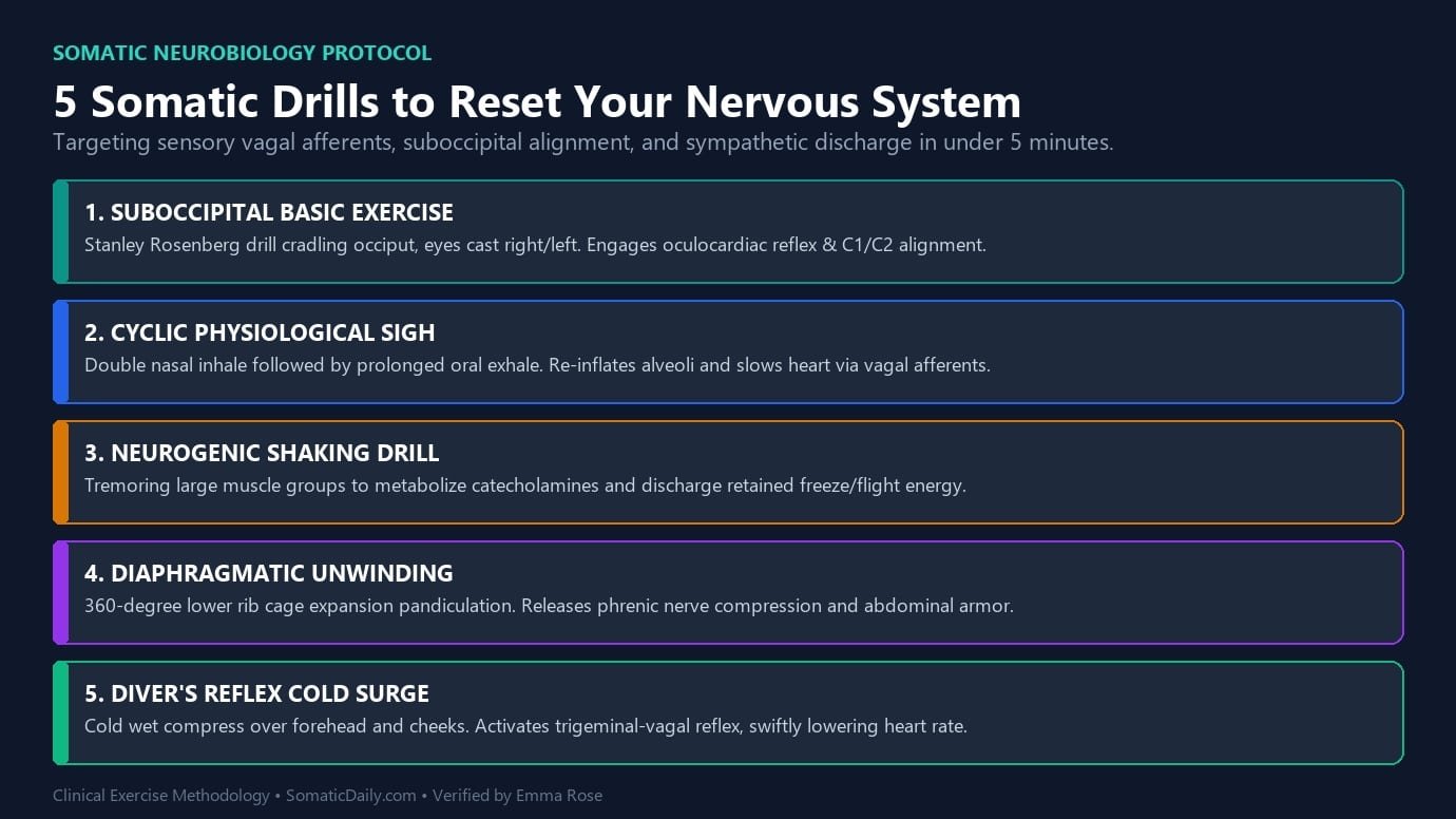 Overview card of 5 clinical somatic drills including suboccipital release cyclic sighing and neurogenic shaking