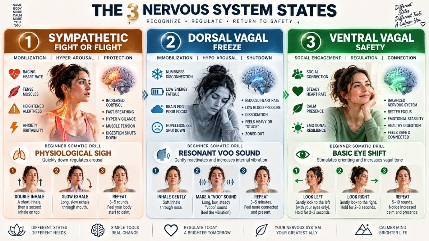 polyvagal theory exercises for beginners autonomic state matching chart