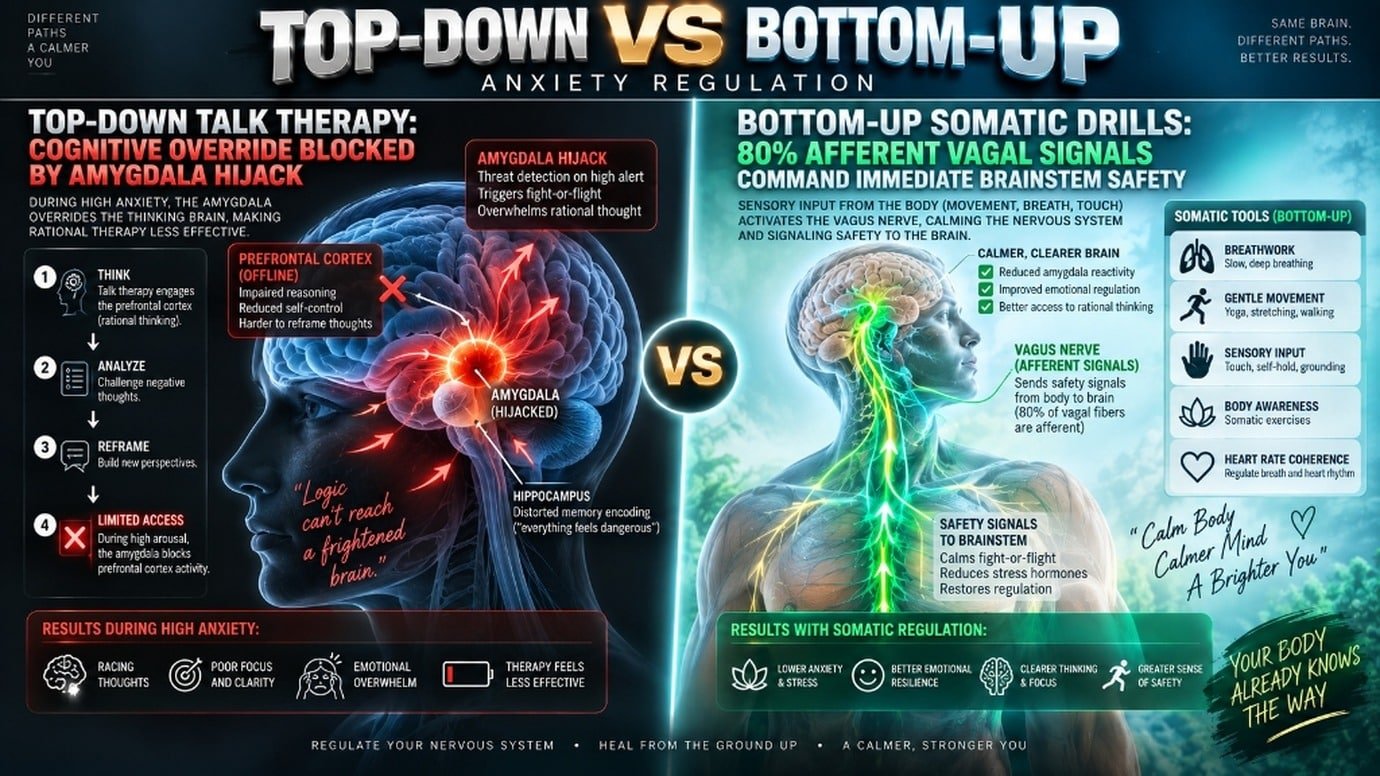 Clinical medical infographic contrasting top-down cognitive talk therapy against bottom-up somatic vagal regulation