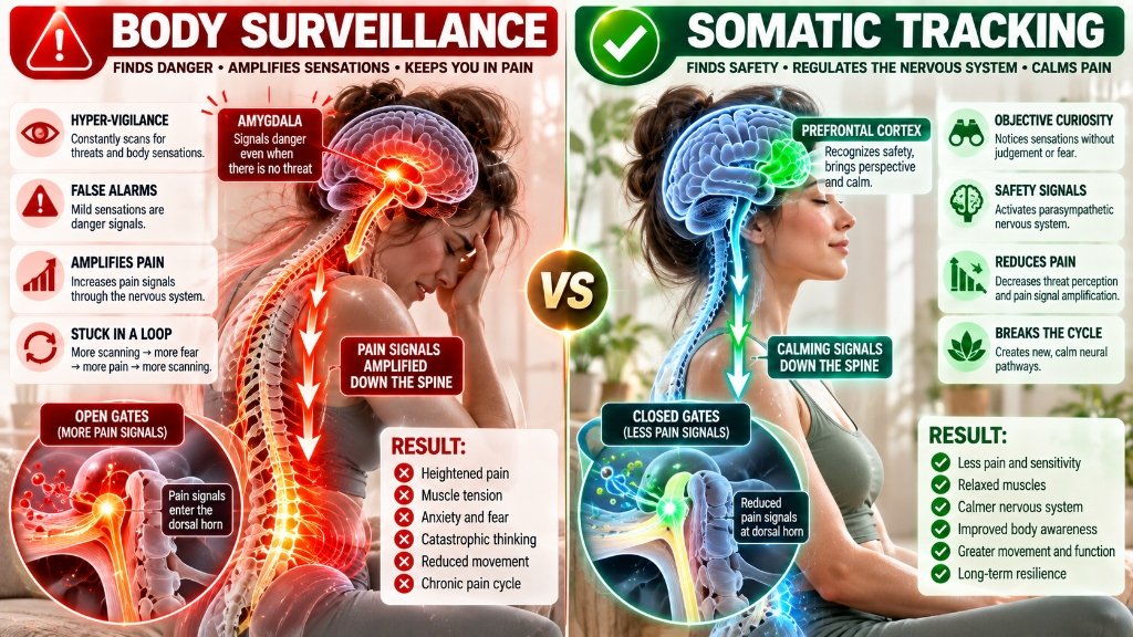 Clinical neurobiology infographic contrasting mindful somatic tracking with fearful hypervigilant body surveillance